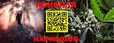 эйфоретик Бугуруслан