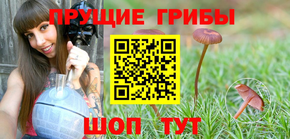 Галлюциногенные грибы Cubensis  Вход с VPN  Ревда 