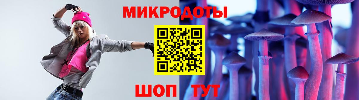 Псилоцибиновые грибы Psilocybe Ревда